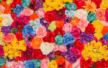 Beautiful Multicolored Artificial Flowers Background.