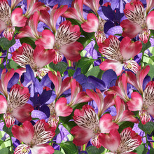 Delicate Floral Background. Orchid And Alstroemeria 