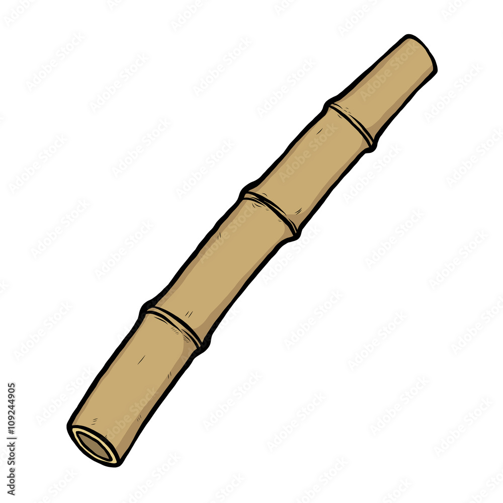 dry bamboo / cartoon vector and illustration, hand drawn style ...