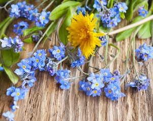 Vergissmeinnicht (Myosotis) und Löwenzahn Blüte (Taraxacum ruderalia) auf altem Treibholz / Holz Hintergrund, Textfreiraum 