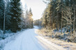 © Johnér - View of forest road in winter