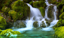 Mountain Stream Among The Mossy Stones