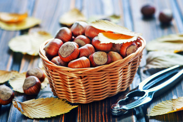 Wall Mural - hazelnuts