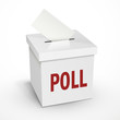 poll word on the 3d white voting box