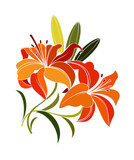 scarlet lily flower