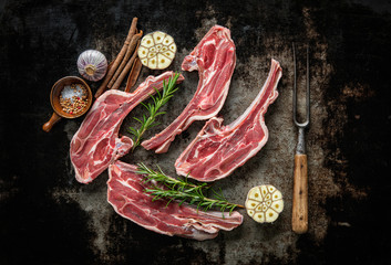 Wall Mural - Raw fresh lamb meat on dark background