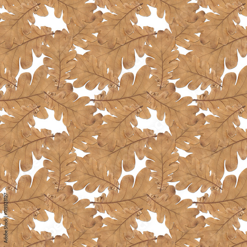 pattern old dry yellow autumn oak leaves