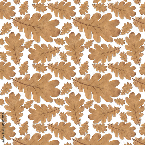 pattern old dry yellow autumn oak leaves
