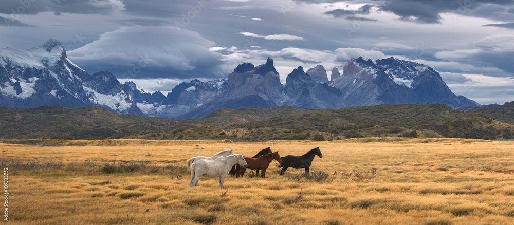 Torres del Paine National Park, Patagonia, Chile - obrazy, fototapety, plakaty 