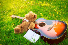 Teddy Bear Sleep On Classical Guitar On Field