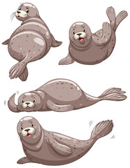 Wall Mural - Four seals with happy face