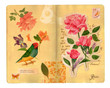 Vintage style collage with open journal and romantic watercolor flowers and bird
