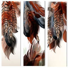 Poster - Vector set of identity templates with colorful feathers
