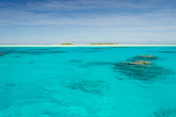 Wall Mural - Shallow coral reef in turquoise transparent water, Aitutaki, Cook Islands