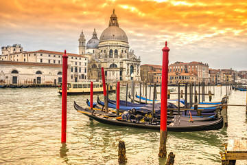 Wall Mural - Grand Canal and Basilica Santa Maria della Salute, Venice, Italy