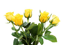 Bouquet Of Five Yellow Roses
