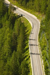 Wall Mural - Alpine Mountain Road