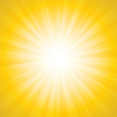 Wall Mural - Sunbeam Vector Background