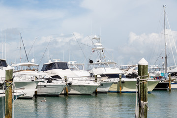 Canvas Print - Large Fishing Boats in Tampa