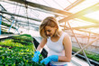 © tamara83 - Attractive young woman working in greenhouse and enjoying in beautiful flowers