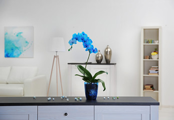 Wall Mural - Beautiful blue orchid flower on table in the white room