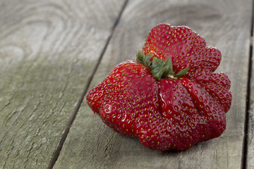 mutant strawberry