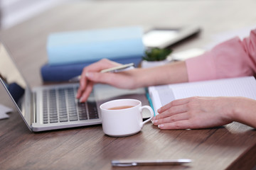 Wall Mural - Businesswoman typing on keyboard in office