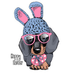 Wall Mural - The poster with the portrait of the dog Dachshund in the bunny hat and with glasses. Vector illustration.