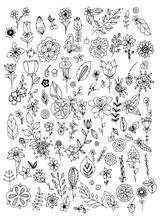 Set Of Black And White Doodle Flowers Leaves. Hand Drawn Vector Design Elements. Black White. Vector Vintage Illustration. Zentangle. Coloring Book Page For Adult.