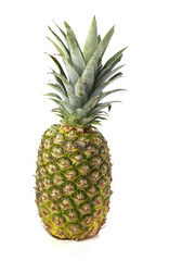 Wall Mural - pineapple on white