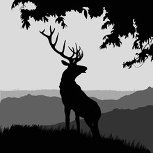 Monotonic Illustration Of An Elk