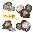 Black truffles  group