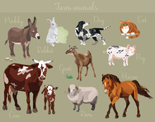 Vector Set Of Different Farm Animals Vector Illustration
