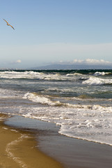 Wall Mural - Pacific ocean is clear day. Beach landscape in the USA with the blue sea, Santa Monica. 