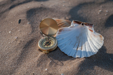 compass in shell