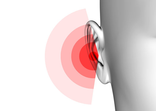 Ear - 3D