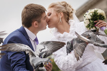  Wedding Couple With Bouquet Outdoors. Having Fun Kiss. Feeding A Pigeon On City Area. Emotional Portrait. Happy Married. 