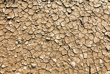Dry, Cracked Mud