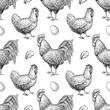 Vector chicken breeding hand drawn seamless pattern.