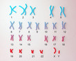 Normal human male karyotype, labeled. 3D illustration