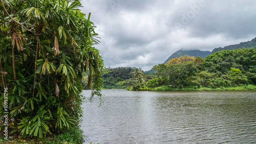 The Hawaiian Rain Forest Of Botanical Gardens On The Tropical