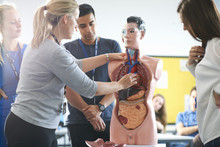 Lecturer Speaking To College Students In Human Anatomy Class