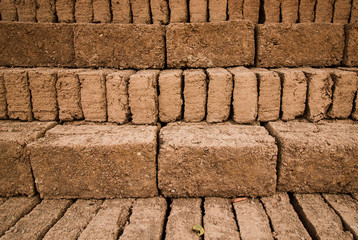 Earthern bricks