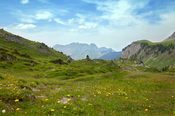 mountain valley in summer