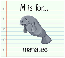 Poster - Flashcard alphabet M is for manatee