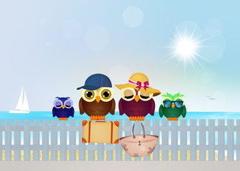 Wall Mural - owls on summer vacations