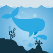 Unterwasserwelt Wale, Seepferdchen, Fische Vektor