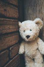 Teddy Bear Adventure, Selective Focus 