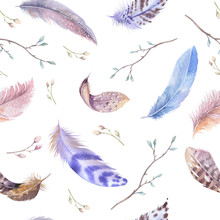 Seamless Watercolor Feather Free Stock Photo - Public Domain Pictures