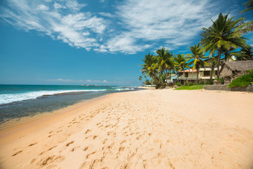 Canvas Print - Tropical sandy beach